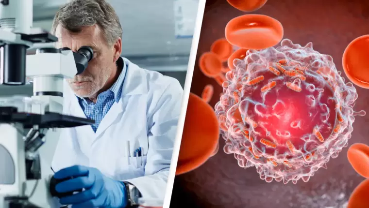 Scientists Make Breakthrough in Cancer Research